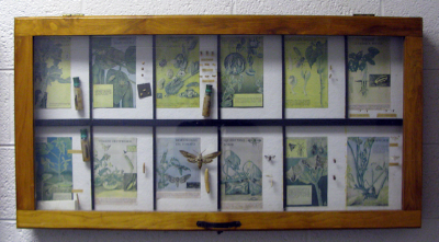 ugly old display