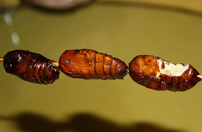 Fried pupae