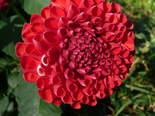 P1080743