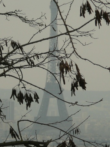 [P1100436[2].jpg]