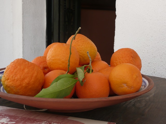 [P1100563[1].jpg]