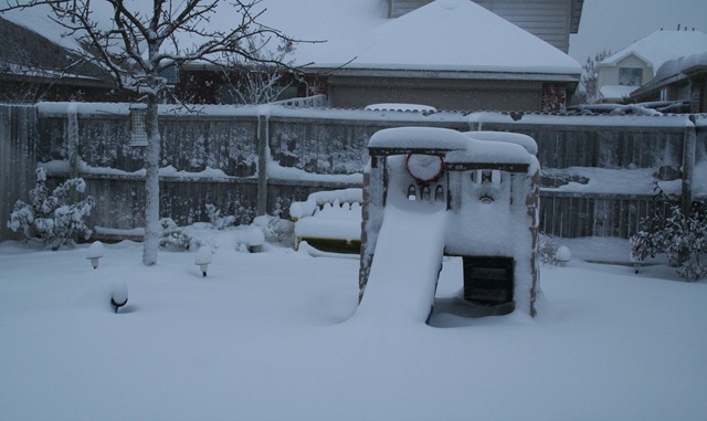 [Snow 3.21.10 007[3].jpg]