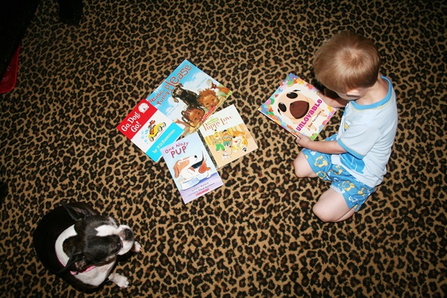 [1st half Puppy Day 001[4].jpg]