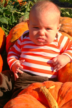 Pumpkin Patch 2010 049