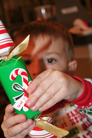 [Christmas2010087.jpg]