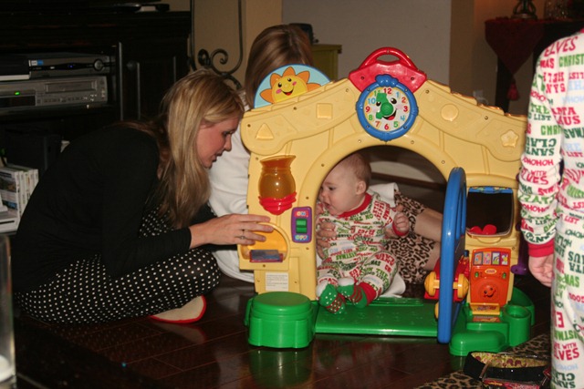 [SlickpawsChristmas2010195[1].jpg]
