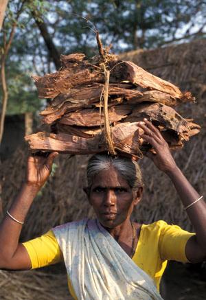 [9152+Women+-+Labor+India+Woman+carrying+firewood+Tiruthani+Tanil+Nadu.jpg]