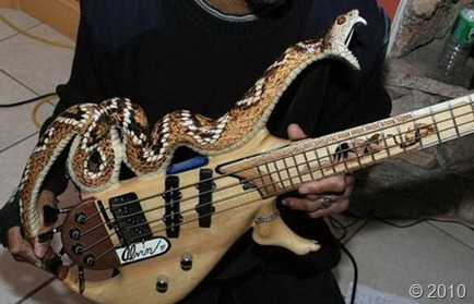 snake-guitar