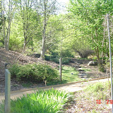 DSC05260.JPG
