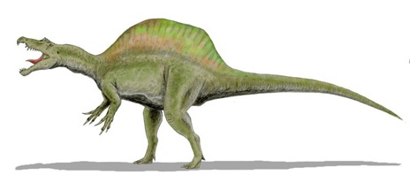 [spinosaurus[4].jpg]