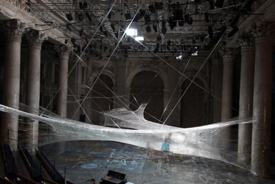 World’s Largest Spider Web Ever Spun 06