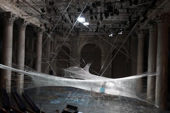 World’s Largest Spider Web Ever Spun 06 World’s Largest Spider Web Ever Spun 06