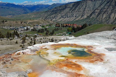mammothterrace2005a