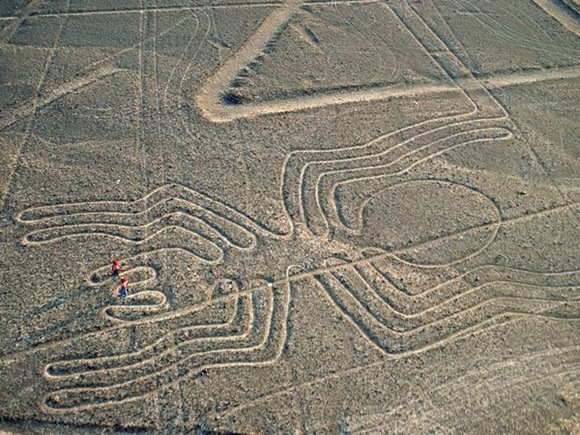 Nazca_spider Nazca_spider
