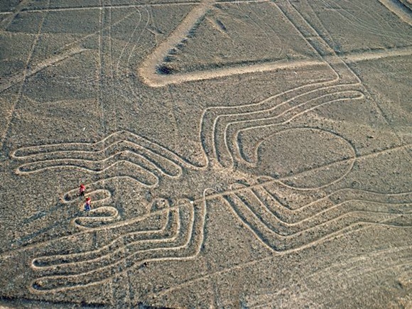 Nazca_spider