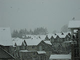 Local roof tops
