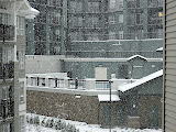 The swimming pool in winter