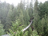 The suspension bridge