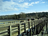 The pier