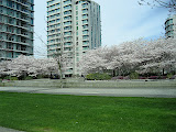 IMG_2827.JPG