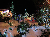Winter wonderland - Capilano suspension bridge
