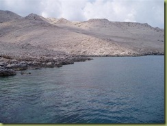 P1010052 (Small)