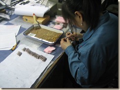 IMG_3519 (1024x768)