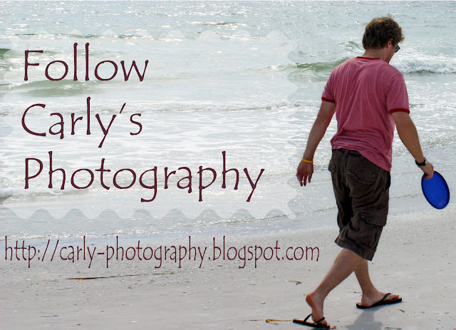 Click on the button to follow my blog