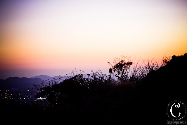 [Sugar Loaf-22[3].jpg]