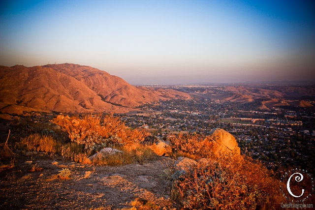 [Sugar Loaf-18[3].jpg]