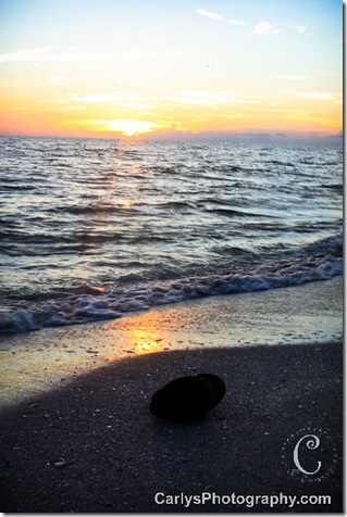 Sanibel p. 3-9