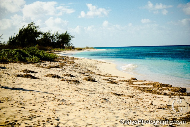 [Grand Turk-4[3].jpg]