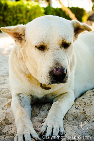 [Grand Turk-5[3].jpg]