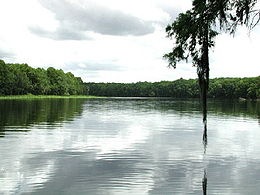 [Suwannee_River[4].jpg]
