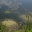 mayjune2009 042.JPG