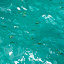 Phi Phi Islands