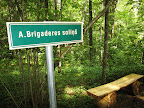 Brigaderes soliņš