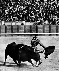 Joselito Madrid mayo 1916