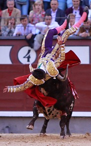 Toros