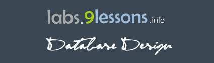 9lessons Labs Database Design.