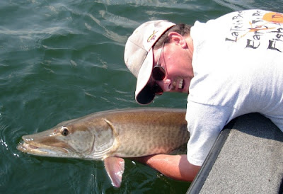 Ciapa e mola anche coi Musky più grossi! Ciapa e mola anche coi Musky più grossi!