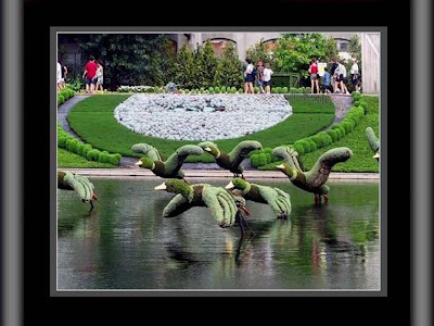 funnydreams