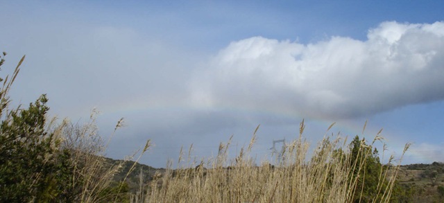 [rainbow2_1_1[2].jpg]