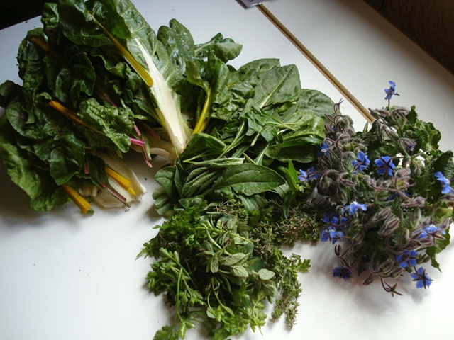 [april harvest_1_1[3].jpg]