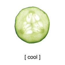 [cool[2].jpg]