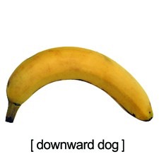 [downward_dog_banana[2].jpg]