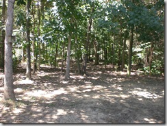 September 2009 003