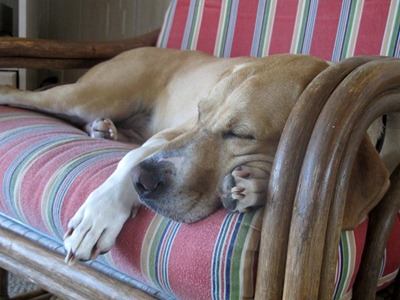 [IMG_6377 (640x480)[3].jpg]