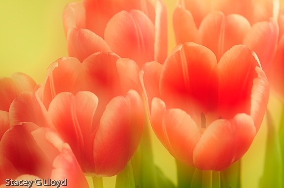 [Blog_20100215_5[5].jpg]