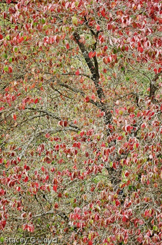 [Blog_20101023_1[5].jpg]